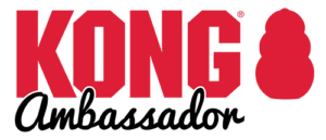KONG_Solid_Logo_Ambassador-01